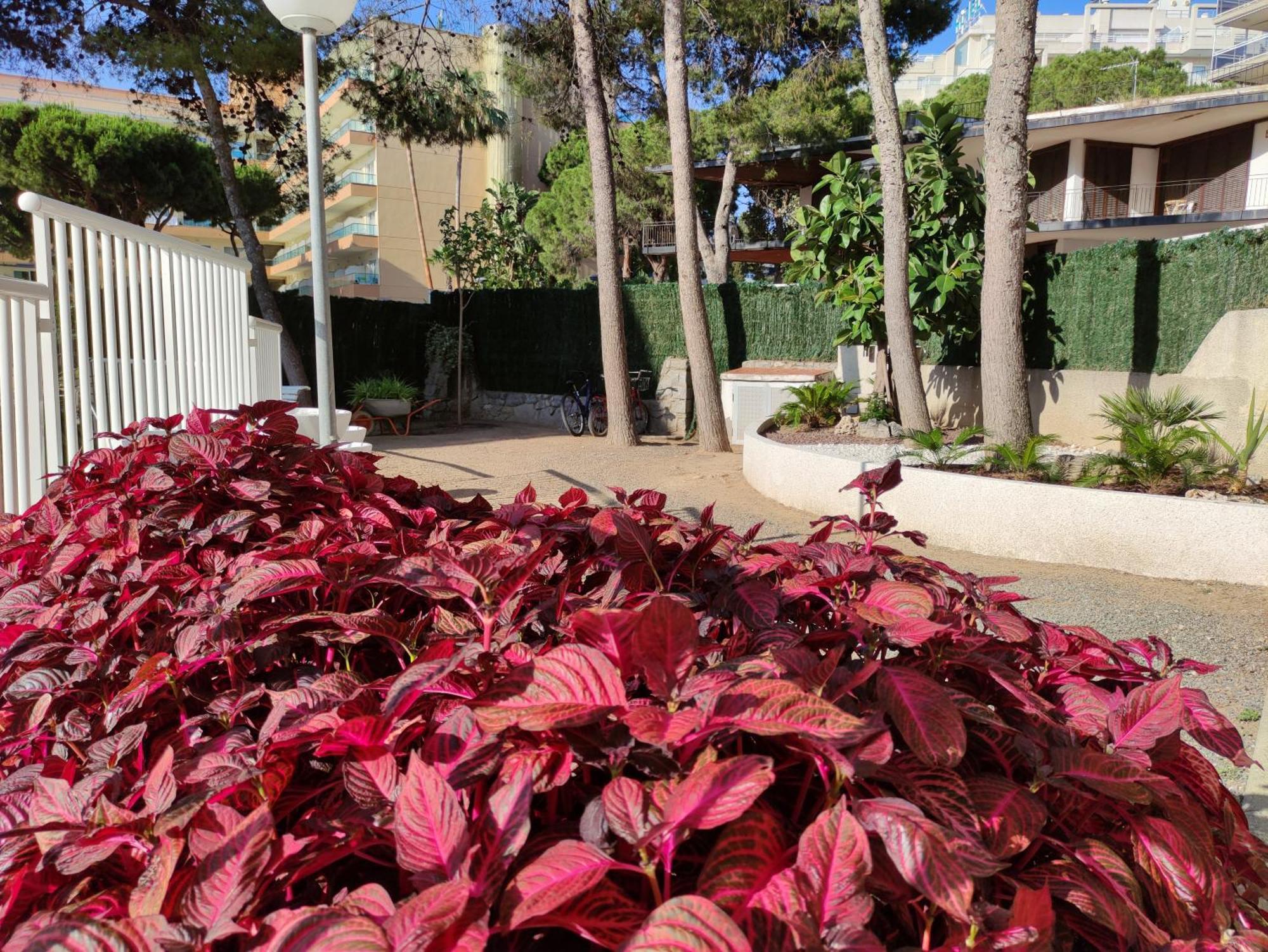 Paradis Salou, centro turístico, WIFI, piscina, vistas al mar Exterior foto